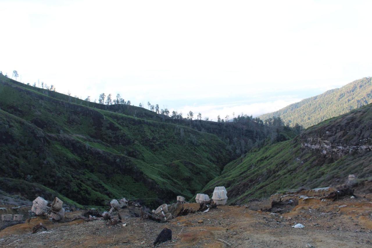 Albergue Backpacker Kawah Ijen Banyuwangi  Exterior foto