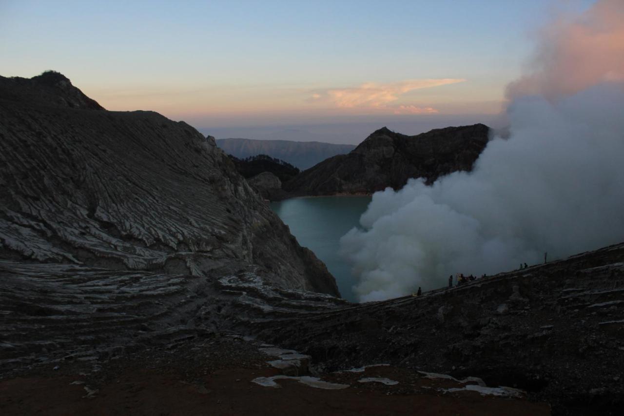 Albergue Backpacker Kawah Ijen Banyuwangi  Exterior foto