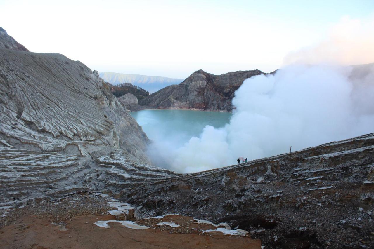 Albergue Backpacker Kawah Ijen Banyuwangi  Exterior foto