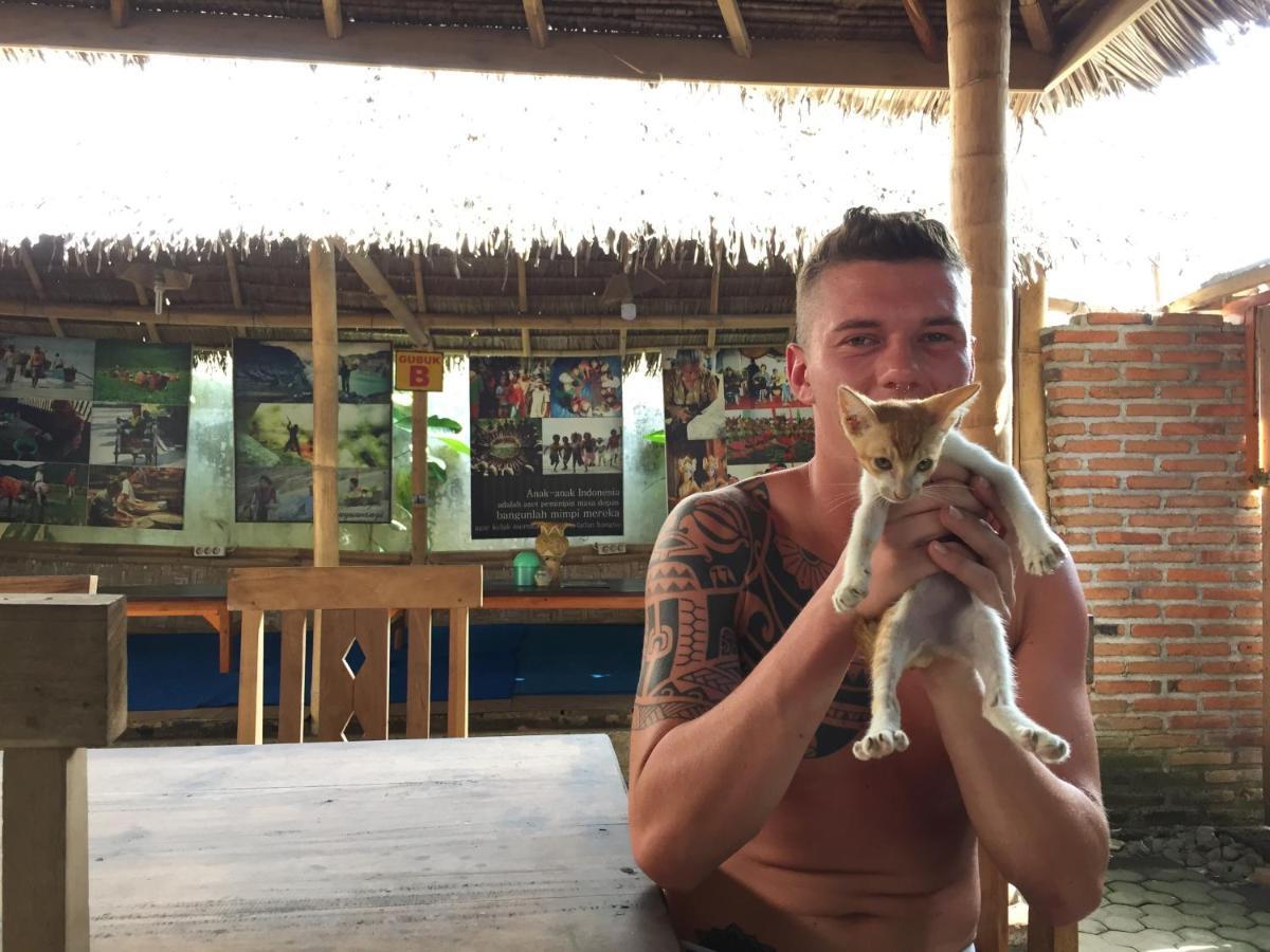 Albergue Backpacker Kawah Ijen Banyuwangi  Exterior foto